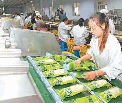 十四五 農業綠色發展有了路線圖 銳財經