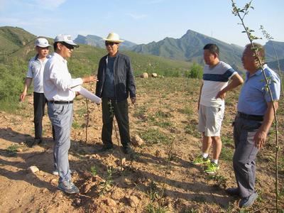 河北井陘開展農業專項資金審計，助力農業開發提質增效