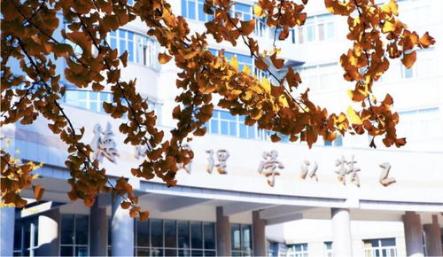 北京理工大學(xué)王牌專業(yè)盤點 網(wǎng)絡(luò)與信息安全、軟件開發(fā)等熱門方向不可錯過