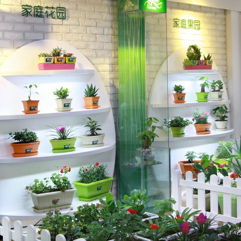 植彩坊智能園藝機 科技點亮綠色生活，室內種植新體驗